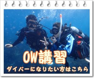 OW講習